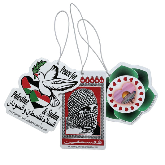 3 PIECE AIR FRESHENER PACK